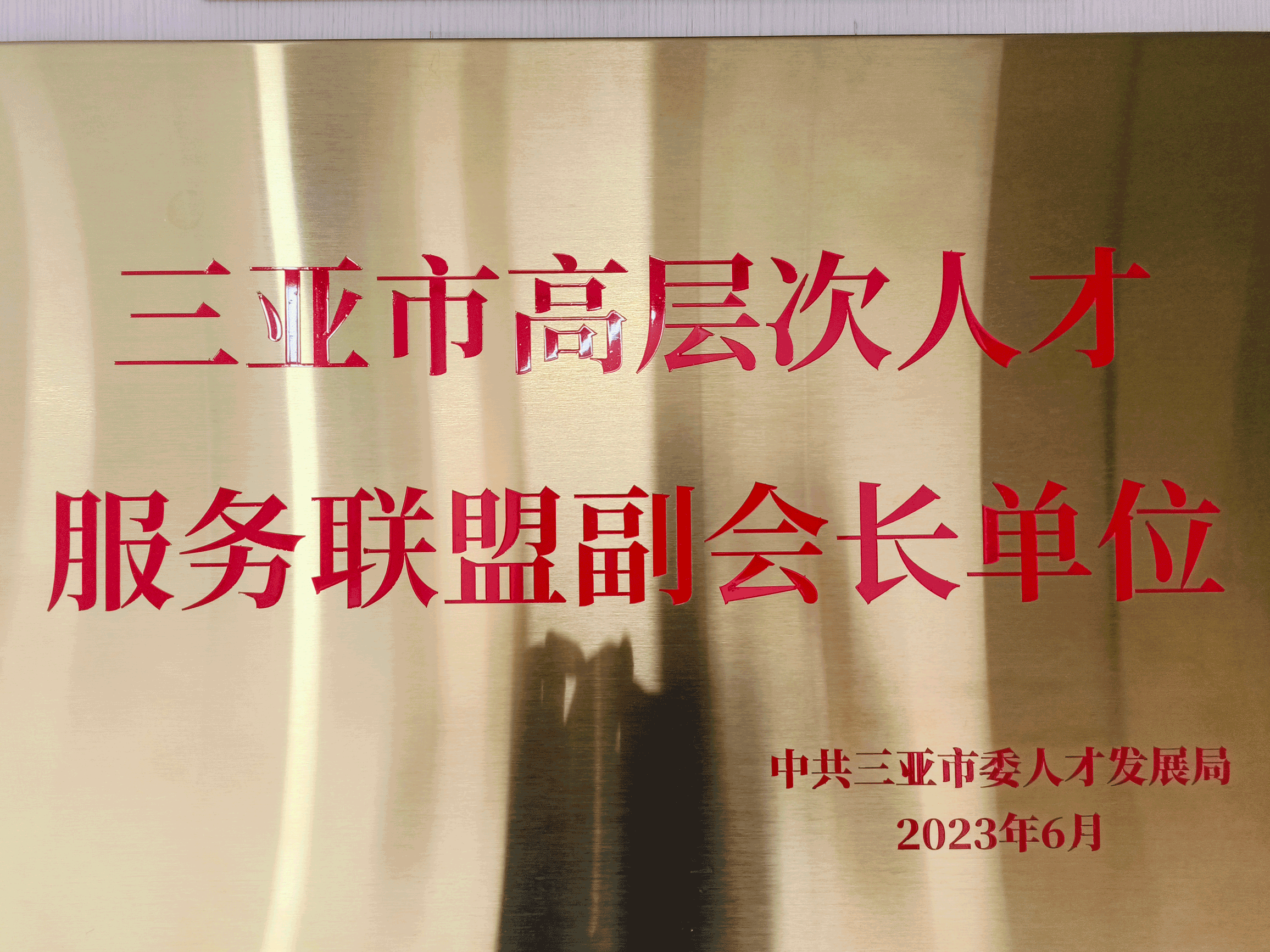 （市人力资源集团）三亚市高层次人才服务联盟副会长单位