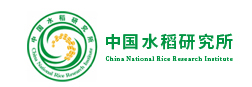 中国水稻研究所