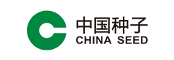 中国种子