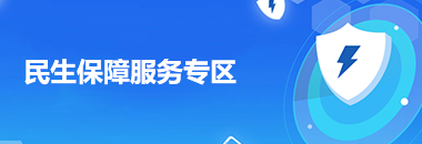 民生保障服务专区